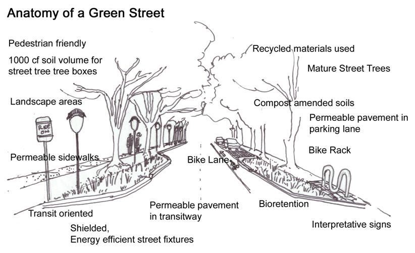 anatomy of a green street