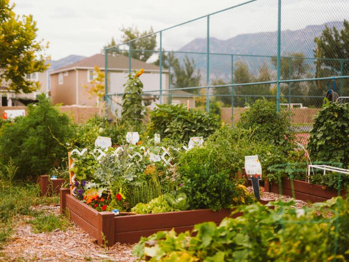 Eleven Cities Redesignated as Healthy Utah Communities!