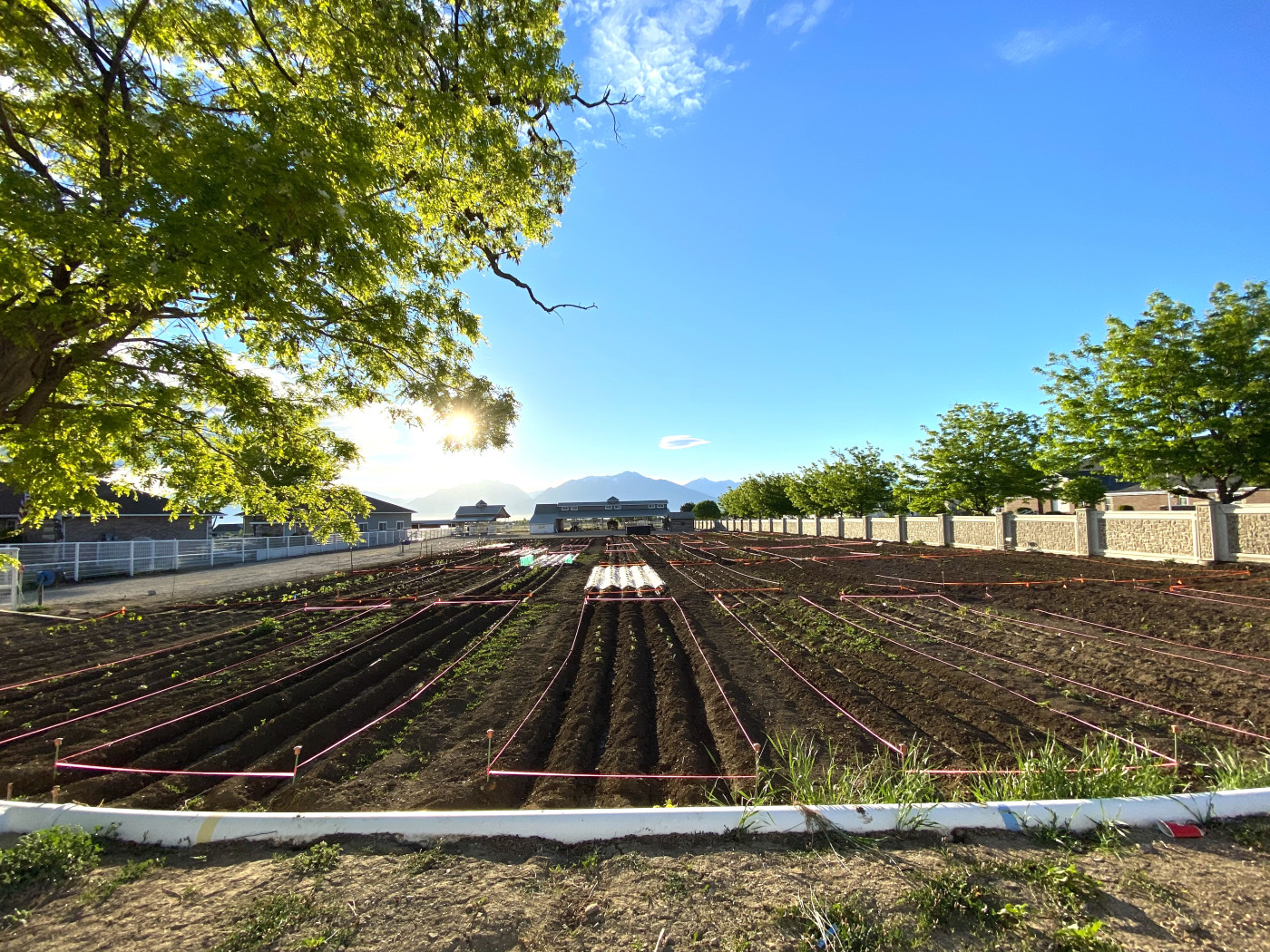 Implementing Healthy Food Access Strategies: Community Gardens