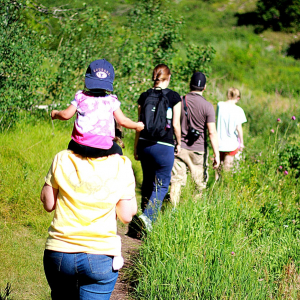 Hike to Stewart Falls_joe haynie