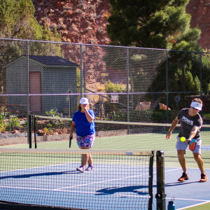 Pickleball 3