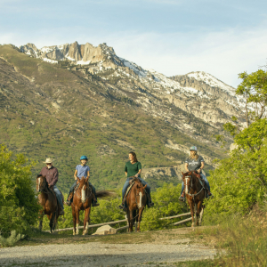 20200521.DraperCity.DankHaus.0849