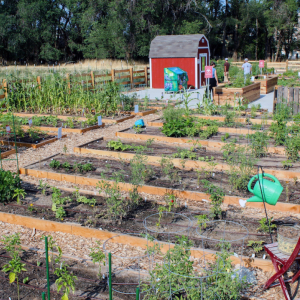 Garden of Wheadon - Community Garden