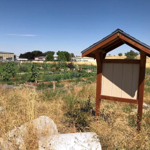 Healthy Utah Communities Layton garden 2