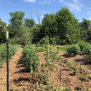 Healthy Utah Communities Layton Garden 