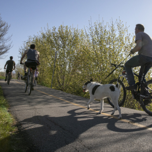 Taylorsville-Jordan River Parkway1