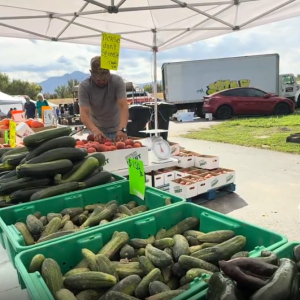 Screenshot 2025-10-03 135734