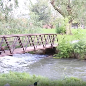 Screenshot 2025-10-03 135816